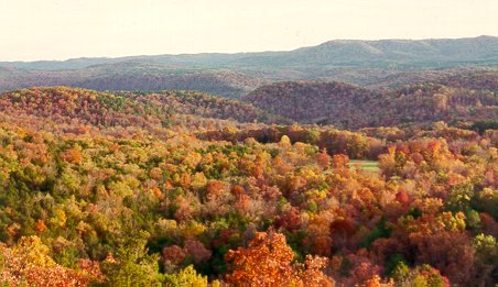 The Ozarks offer hundreds of miles to explore foliage